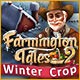 Farmington Tales 2: Winter Crop Game Download Free